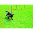 Pawise agility kepit 12 kpl - Muut koiran koulutustarvikkeet - 8886467514319 - 1