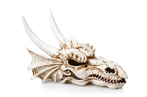 Dragon Skull koriste sarvilla akvaarioon - Akvaarion koristeet - 3664471007219 - 1