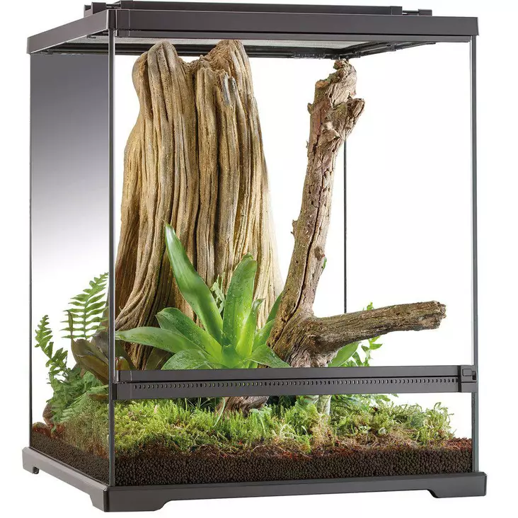 Exoterra Terraario Tree Frog 45x45x60 - Matelijoiden terraariot - 015561227469 - 1