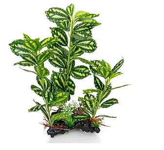 GiganAqua tekokasvi 35cm sisustamiseen - Akvaarion koristeet - 3664471006649 - 1