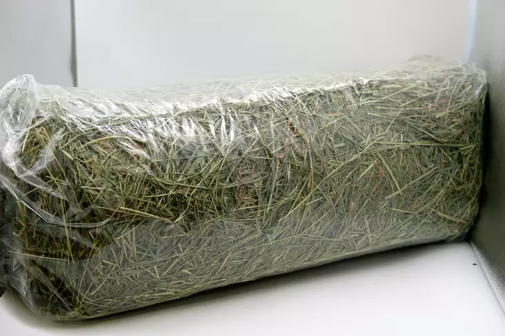 Iso syysheinä 2kg - Heinät kaneille ja jyrsijöille - 170009 - 1