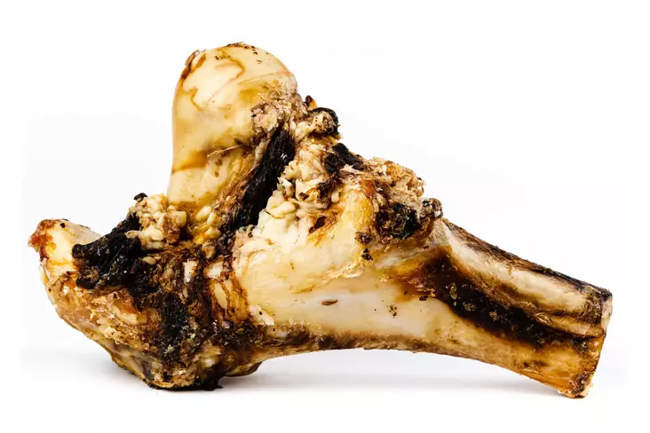 Naudan jättiluu puolikas - Koiran kypsät luut - 6420614792469 - 1