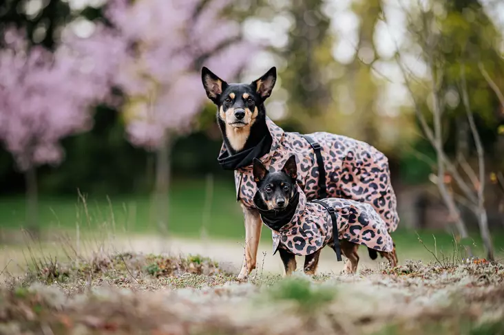 Paikka Visibility Raincoat Lite Leopard - Takit ja manttelit - 6430076464149 - 1