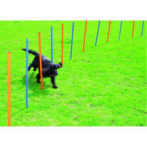 Pawise agility kepit 12 kpl - Muut koiran koulutustarvikkeet - 8886467514319 - 1