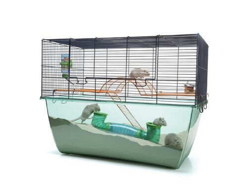 Savic Habitat XL häkki 70x37x51 - Häkit ja terraarriot alle 100cm - 5411388050719 - 1