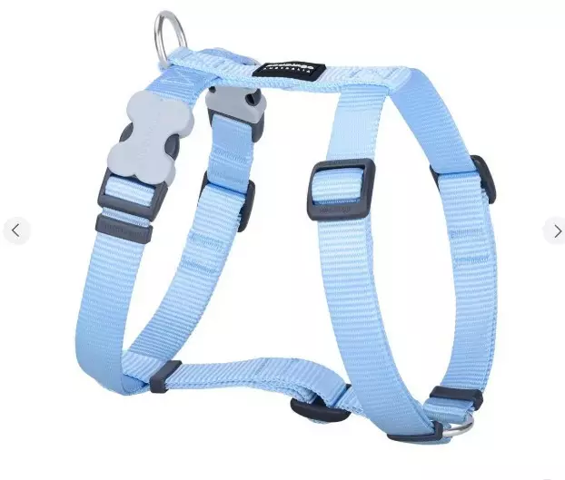 Red Dingo Classic valjaas pastel Blue - Koiran valjaat - 9330725105539 - 1