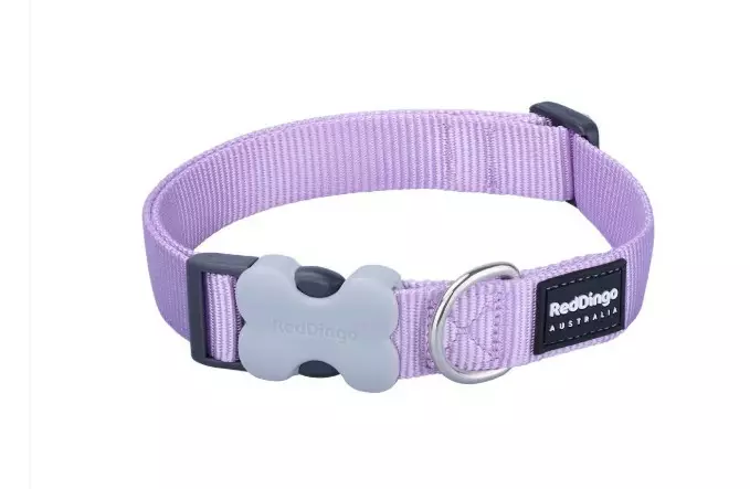 Red Dingo panta pastel purple - Tekstiilipannat - 9330725104259 - 1
